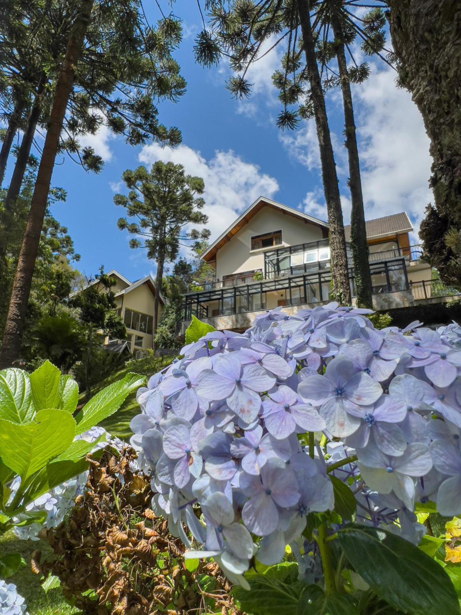 Araucaria Lodge Campos do Jordão Exteriör bild